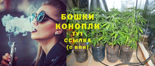 spice Абаза