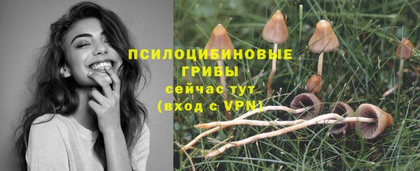 spice Абаза