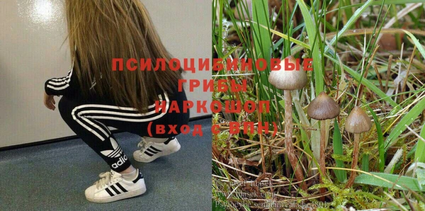spice Абаза