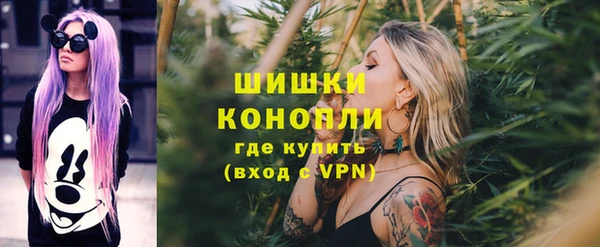 spice Абаза