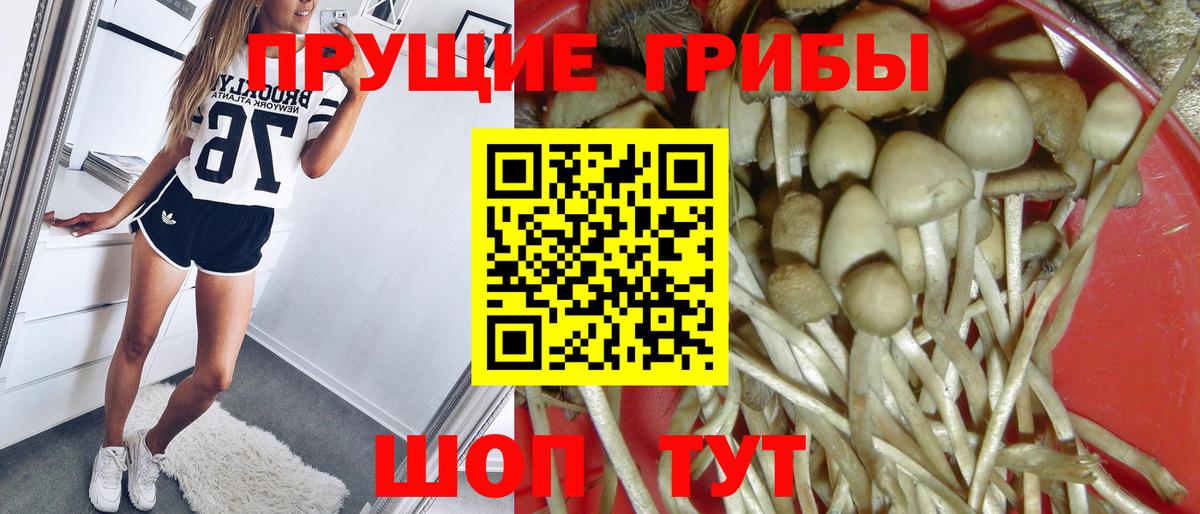 Галлюциногенные грибы прущие грибы Юрга